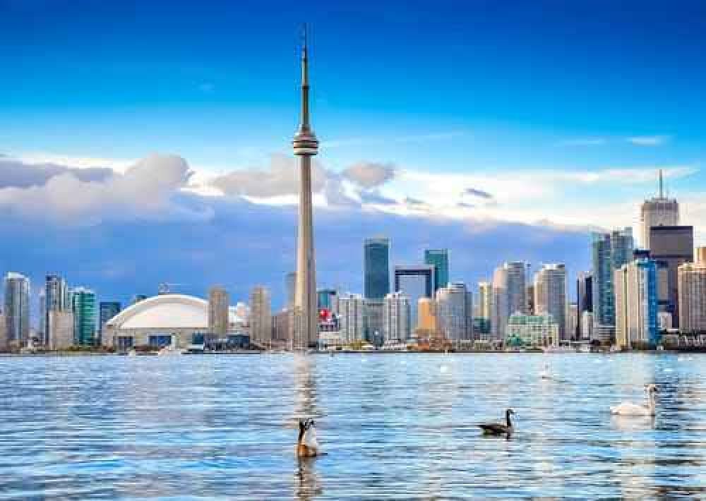 Toronto Real Estate - Ali Salarian, Broker of Record